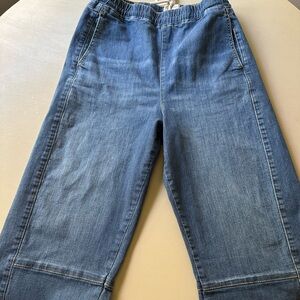 Anthropologie THE IZZIE RELAXED PULL-ON BARREL JEANS BY PILCRO